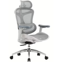 Офисное кресло Sihoo DORO-C300-PRO-M102