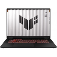 Ноутбук ASUS FA808UH-S8028