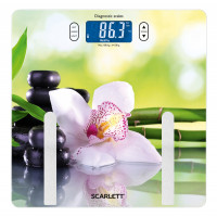 Ваги Scarlett SC-BS33ED10