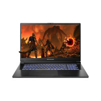 Ноутбук Dream Machines RG4060-17 RG4060-17UA23