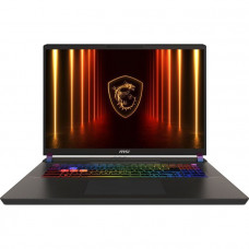 Ноутбук MSI Vector 17 HX AI A2XWJG-042UA 9S7-17S372-042