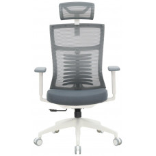 Крісло офісне OfficePro Balance OC550-W-DG-DG