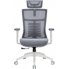 Крісло офісне OfficePro Balance OC620-W-DG-DG