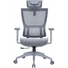 Крісло офісне OfficePro Elegant OC660-G-DG-DG