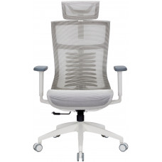 Крісло офісне OfficePro Balance OC620-W-LG-LG