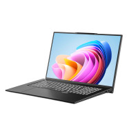 Ноутбук 2E Complex Pro 17 17.3"  NS70PU-17UA52