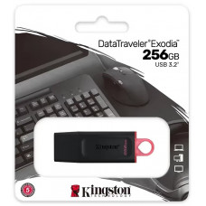 Флешка Kingston USB 3.2 DT Exodia 256GB Black/Pink